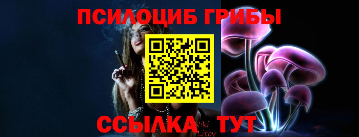 Псилоцибиновые грибы Cubensis  Вход с VPN  Реутов 